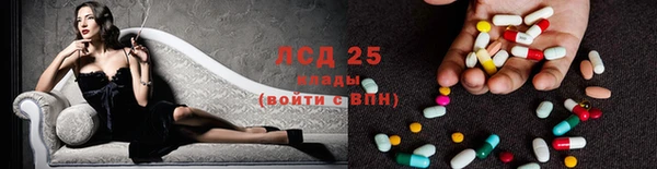 spice Вяземский