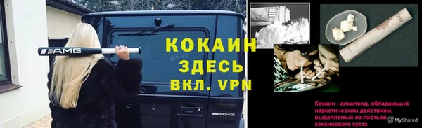 таблы Сосновый Бор