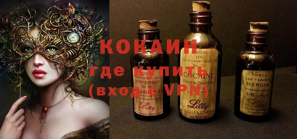 гидра Вязьма