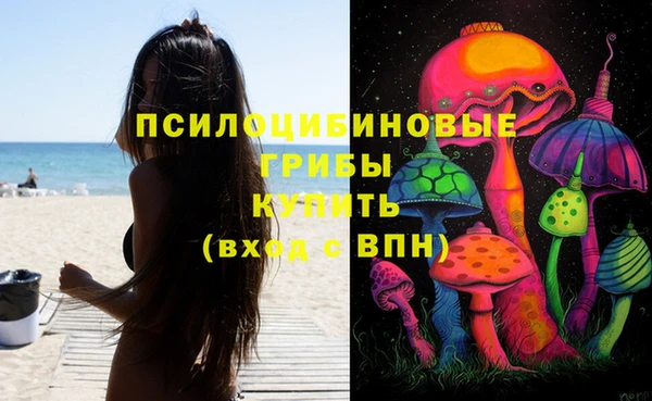 гашик Володарск
