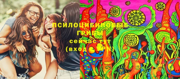 дмт Сосновоборск