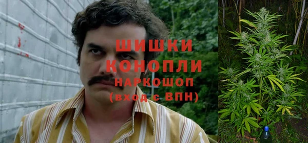 гашик Володарск