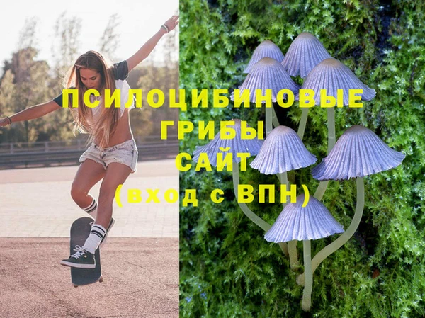 гашик Володарск