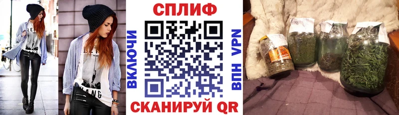 продажа наркотиков  Городовиковск  Каннабис конопля 